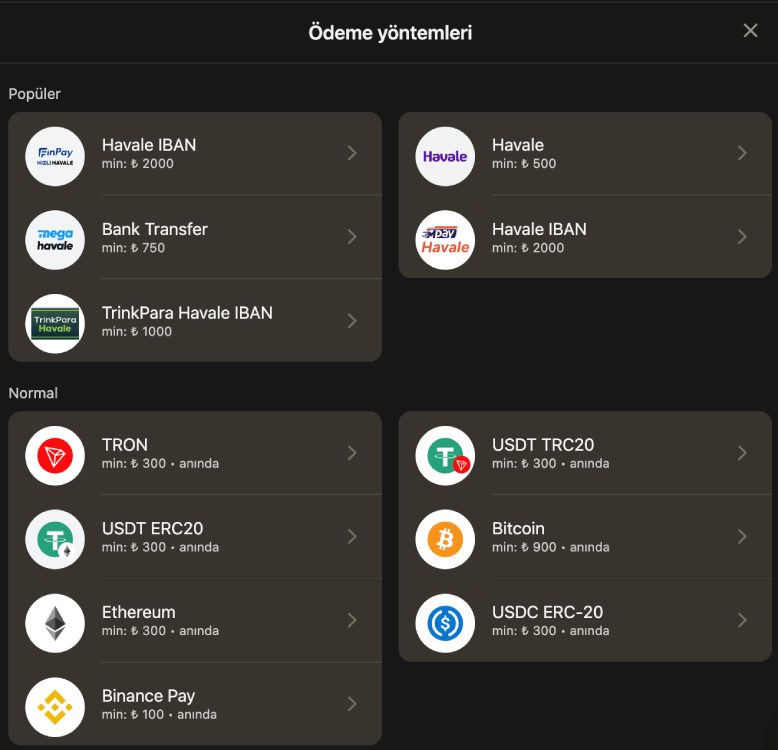1King Casino payment methods listed on the deposit screen